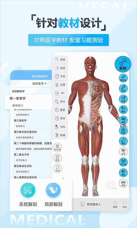 維薩里3D解剖教學(xué)