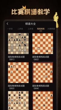 国际象棋大师