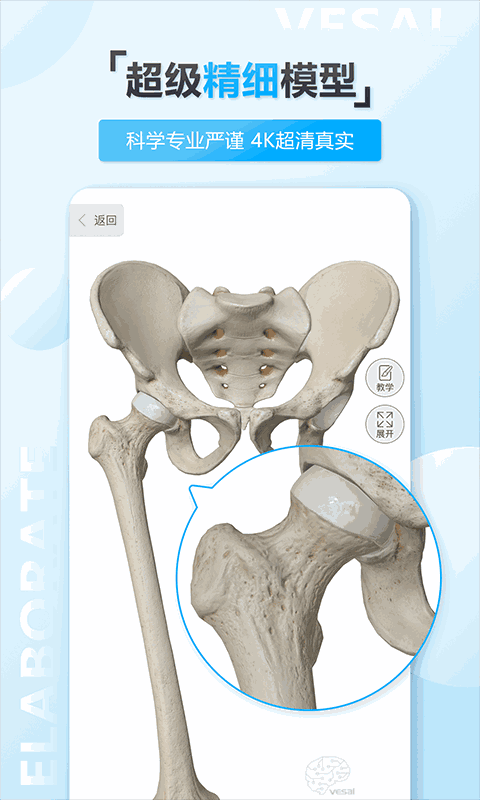 維薩里3D解剖教學(xué)