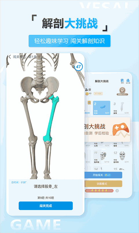 維薩里3D解剖教學(xué)