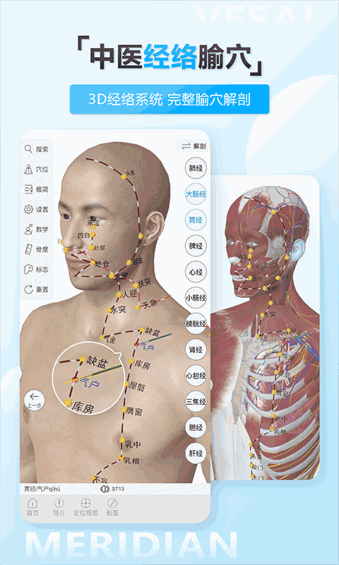 維薩里3D解剖教學(xué)